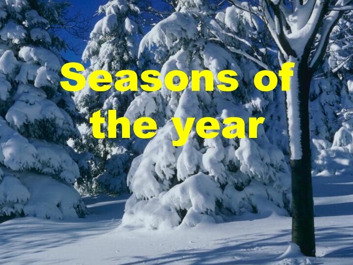 Seasons of the year