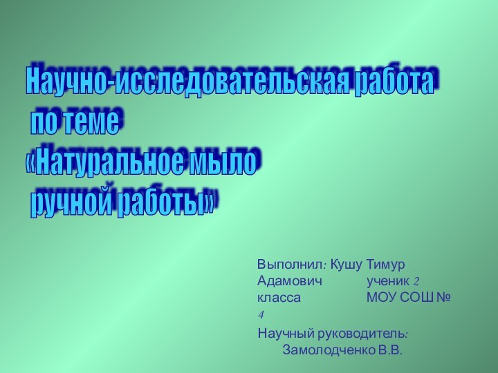 Выполнил: Кушу Тимур Адамович 		  ученик 2 класса