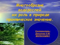 Многообразие водорослей их роль в природе практическое значение.