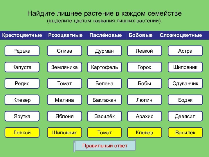 Найдите лишнее растение в каждом семействе(выделите цветом названия лишних растений):РедькаКапустаРедисЯруткаКлеверСливаЗемляникаТоматМалинаЯблоняДурманКартофельБеленаБаклажанВасилёкЛевкойГорохБобыЛюпинАрахисАстраШиповникОдуванчикБодякДевясилПравильный ответЛевкойШиповникКлеверТоматВасилёк