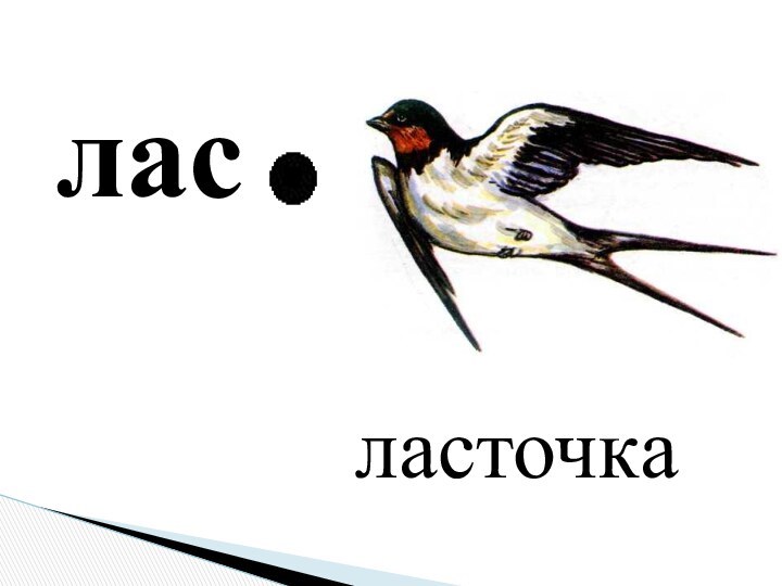 ласласточка