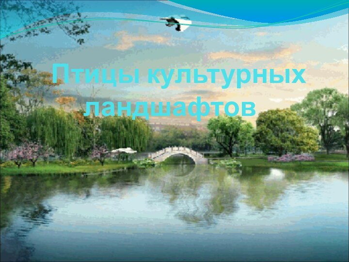 Птицы культурных ландшафтов