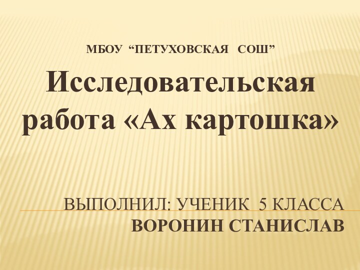 Выполнил: ученик 5 класса  ВОРОНИН СТАНИСЛАВМБОУ “ПЕТУХОВСКАЯ  СОШ”Исследовательская работа «Ах картошка»