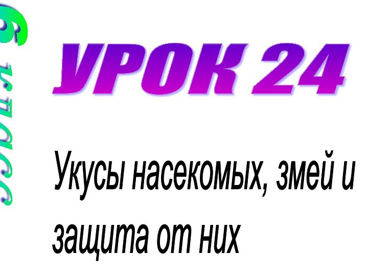 УРОК 24Укусы насекомых, змей и  защита от них   6 класс