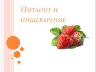 Питание и пищеварение 8 класс