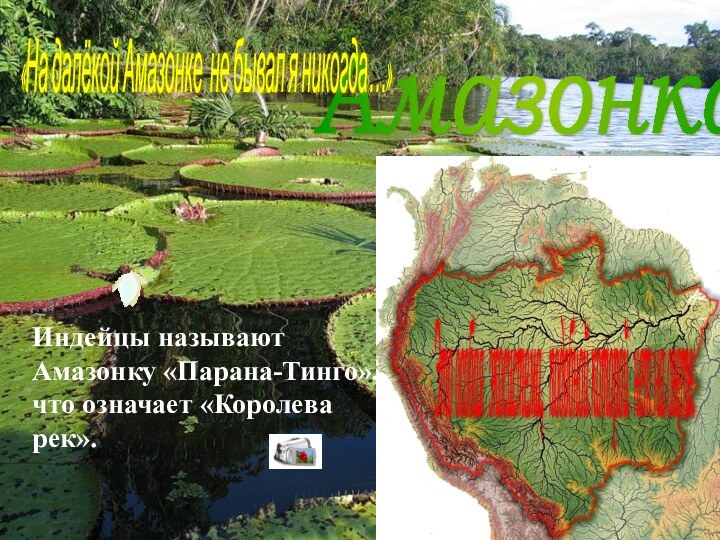 Амазонка Индейцы называют Амазонку «Парана-Тинго», что означает «Королева рек». «На далёкой Амазонке