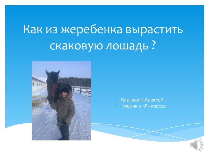 Как из жеребенка вырастить скаковую лошадь ?Каргашин Алексей, ученик 5 «Г» класса