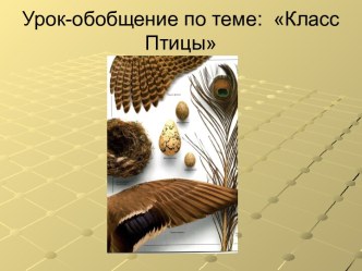 Класс Птицы 7 класс