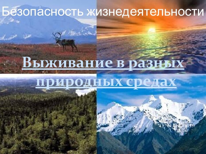 Безопасность жизнедеятельностиВыживание в разных природных средах