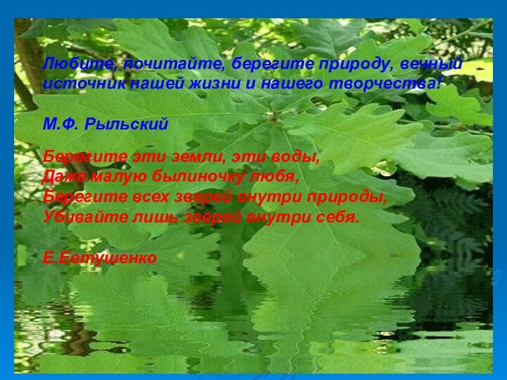 Любите, почитайте, берегите природу, вечный источник нашей жизни и нашего творчества!