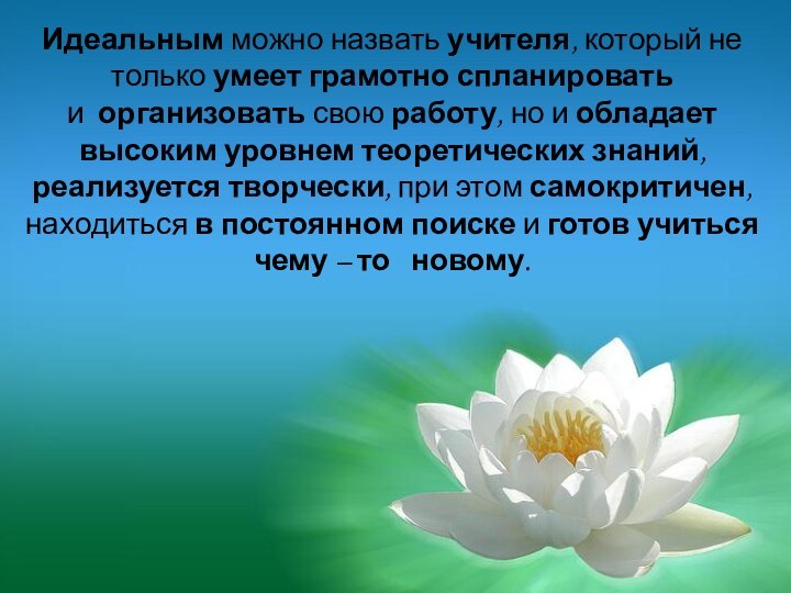 Идеальным можно назвать учителя, который не только умеет грамотно спланировать и  организовать