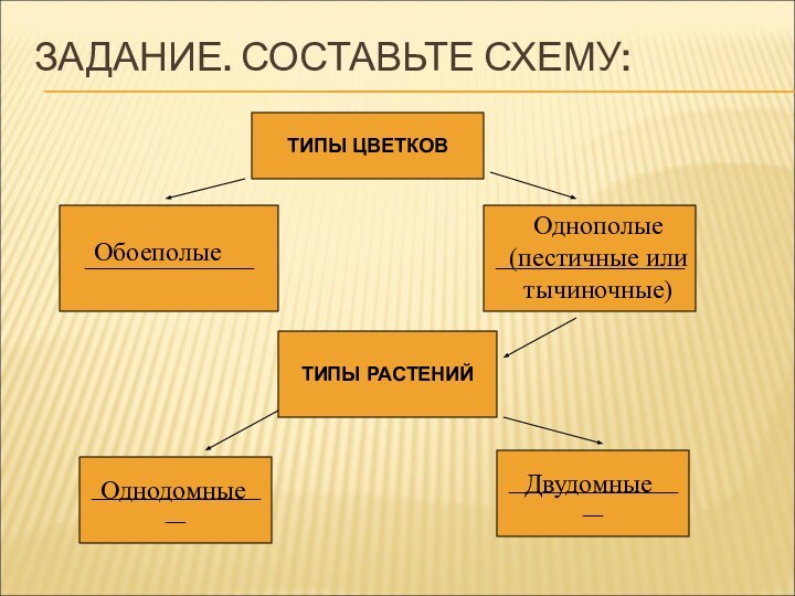 ЗАДАНИЕ. СОСТАВЬТЕ СХЕМУ:ТИПЫ ЦВЕТКОВ__________________________________________________________________________ТИПЫ РАСТЕНИЙОбоеполыеОднополые (пестичные или тычиночные)ОднодомныеДвудомные