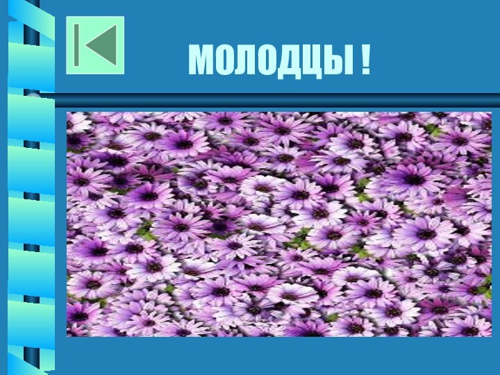 МОЛОДЦЫ !