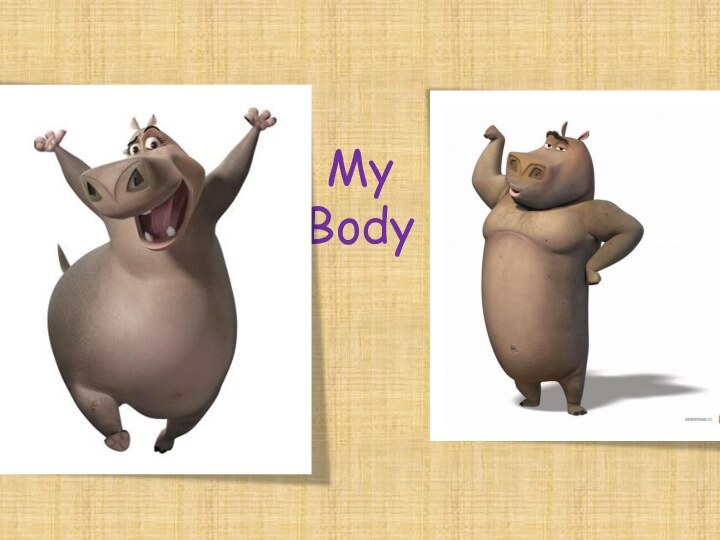 My  Body