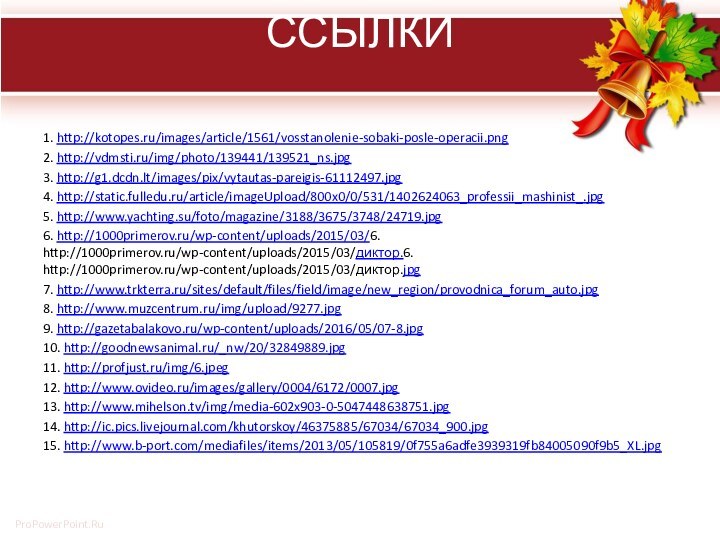 ССЫЛКИ 1. http://kotopes.ru/images/article/1561/vosstanolenie-sobaki-posle-operacii.png2. http://vdmsti.ru/img/photo/139441/139521_ns.jpg3. http://g1.dcdn.lt/images/pix/vytautas-pareigis-61112497.jpg4. http://static.fulledu.ru/article/imageUpload/800x0/0/531/1402624063_professii_mashinist_.jpg5. http://www.yachting.su/foto/magazine/3188/3675/3748/24719.jpg6. http://1000primerov.ru/wp-content/uploads/2015/03/6. http://1000primerov.ru/wp-content/uploads/2015/03/диктор.6. http://1000primerov.ru/wp-content/uploads/2015/03/диктор.jpg7. http://www.trkterra.ru/sites/default/files/field/image/new_region/provodnica_forum_auto.jpg8. http://www.muzcentrum.ru/img/upload/9277.jpg9.