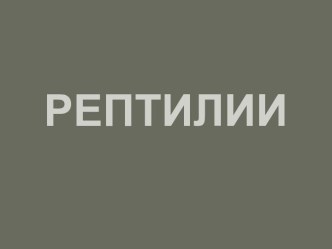 Рептилии