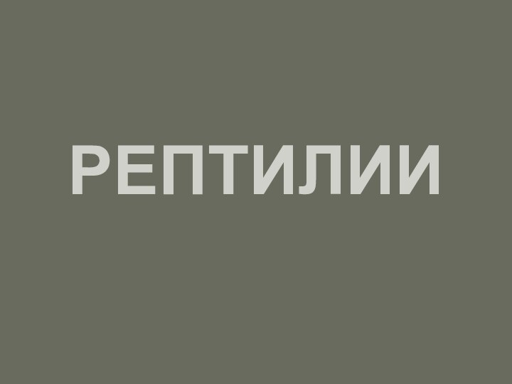 РЕПТИЛИИ