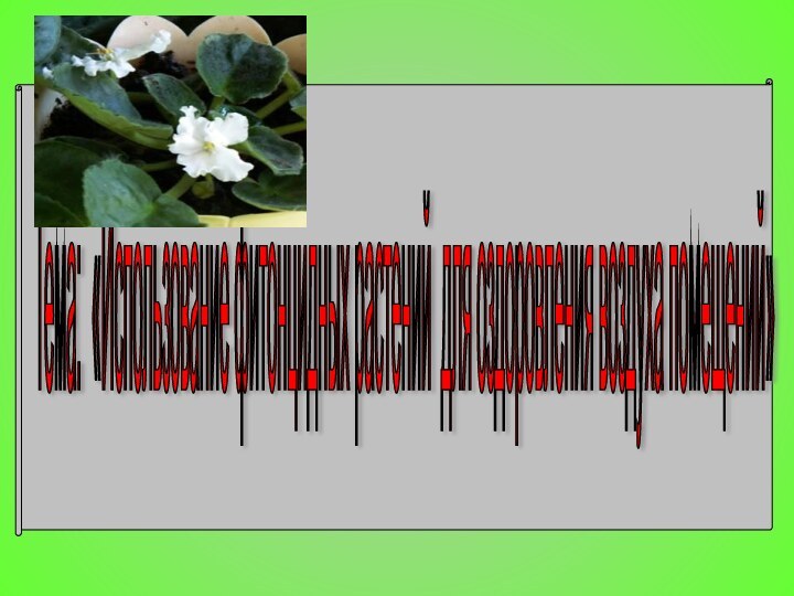 Тема: «Использование фитонцидных растений для оздоровления воздуха помещений»