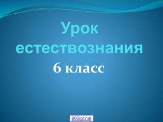 Названия океанов