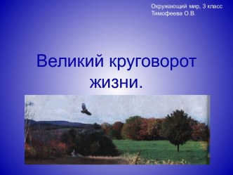 Великий круговорот жизни