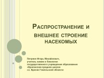 Распространение и внешнее строение насекомых