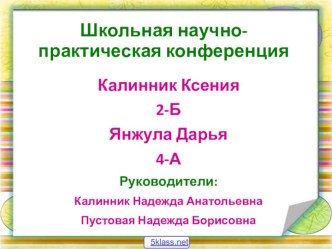 Клювы птиц