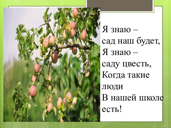 Я знаю – сад наш будет,Я знаю – саду цвесть,Когда такие людиВ нашей школе есть!