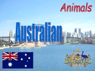 Australian animals