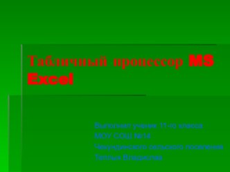 Табличный процессор MS Excel