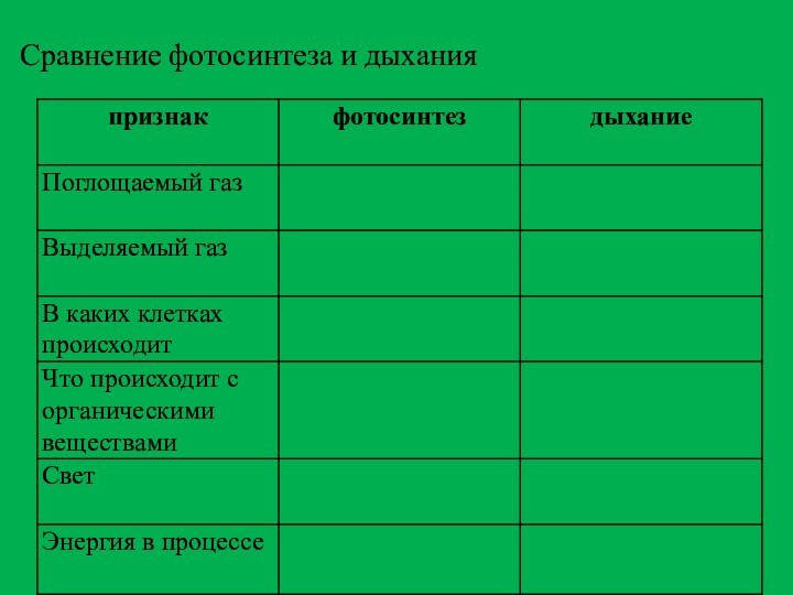 Сравнение фотосинтеза и дыхания