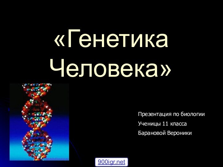 «Генетика Человека»Презентация по биологииУченицы 11 классаБарановой Вероники