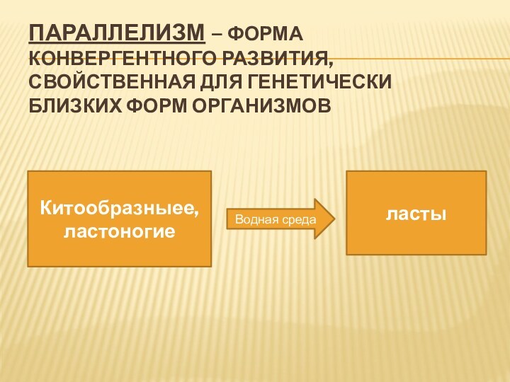 Параллелизм – форма конвергентного развития, свойственная для генетически близких форм организмовКитообразныее, ластоногиеВодная средаласты