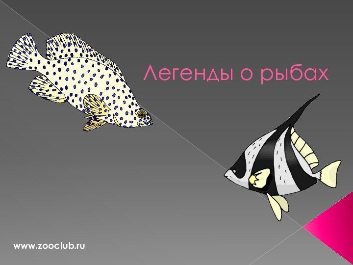 Легенды о рыбахwww.zooclub.ru