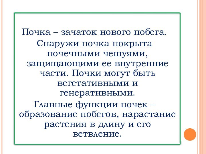 Почка – зачаток нового побега.Снаружи почка покрыта почечными чешуями, защищающими ее внутренние