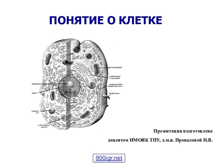 ПОНЯТИЕ О КЛЕТКЕПрезентация подготовленадоцентом ИМОЯК ТПУ, д.м.н. Проваловой Н.В.