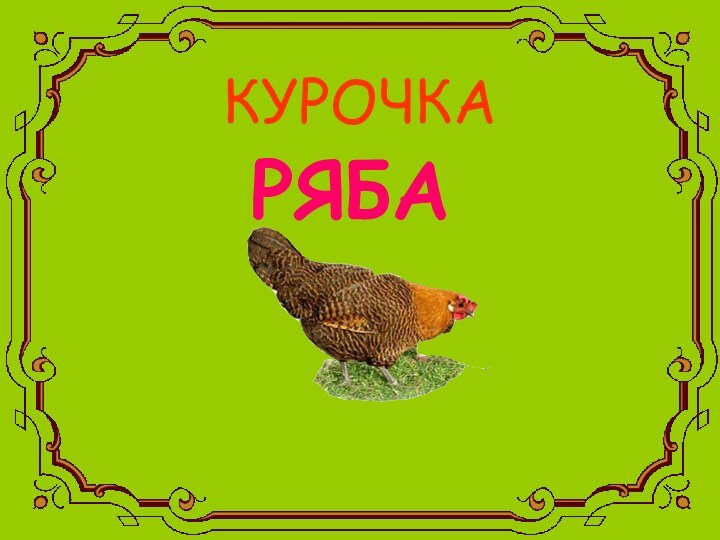 КУРОЧКАРЯБА