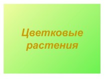 Цветковые растения 6 класс