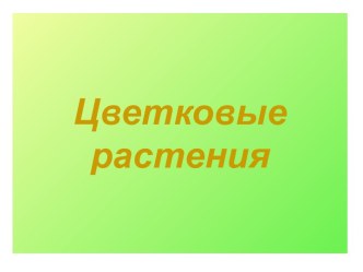 Цветковые растения 6 класс