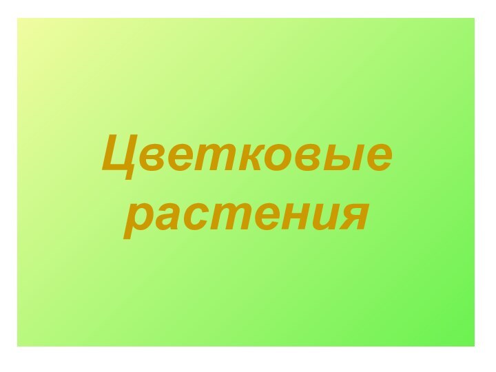 Цветковые растения