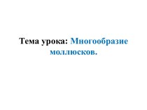 Многообразие моллюсков