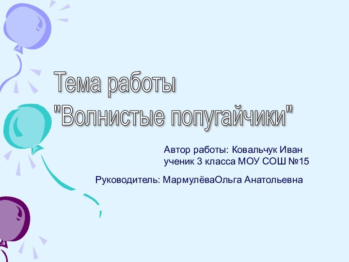 Тема работы  