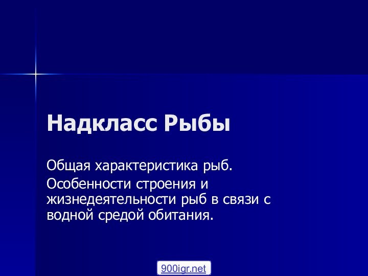 Надкласс РыбыОбщая характеристика рыб.Особенности строения и жизнедеятельности рыб в связи с водной средой обитания.