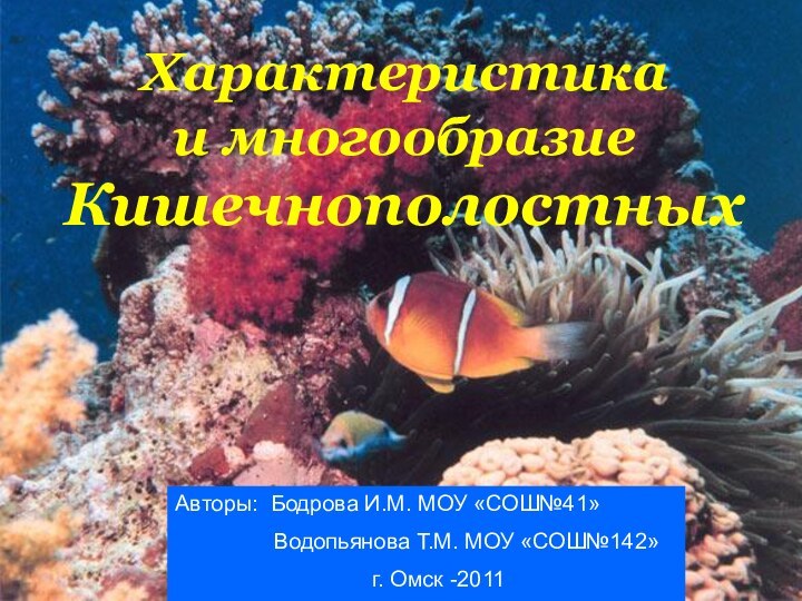 Характеристика и многообразие КишечнополостныхАвторы: Бодрова И.М. МОУ «СОШ№41»