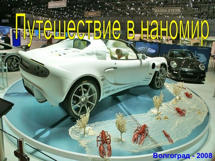 Путешествие в наномир Волгоград - 2008