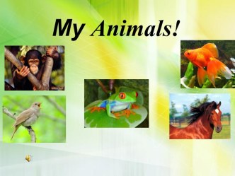 презентация animals 2 класс