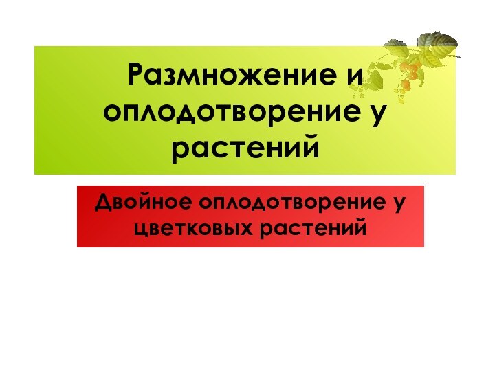 Размножение и оплодотворение у растенийДвойное оплодотворение у цветковых растений