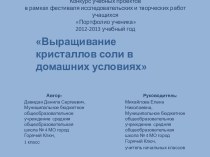 Выращивание кристаллов соли в домашних условиях