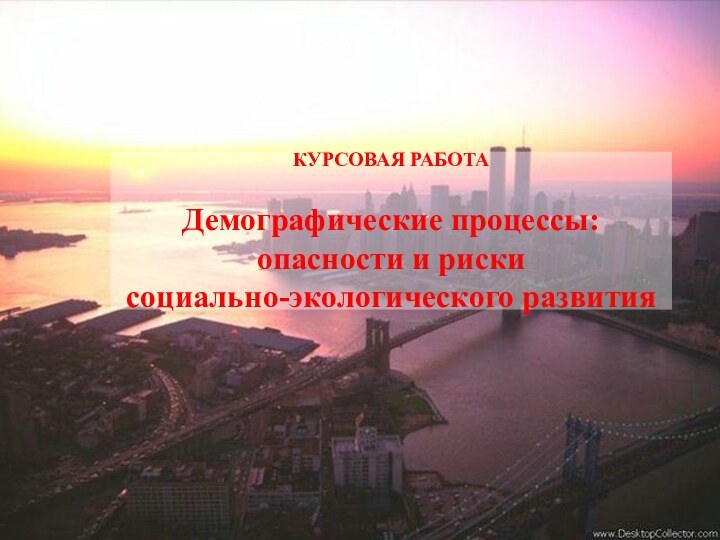 КУРСОВАЯ РАБОТА  Демографические процессы: опасности и риски социально-экологического развития