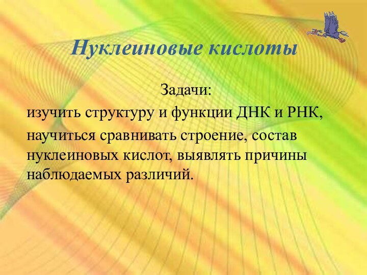 Нуклеиновые кислотыЗадачи: изучить структуру и функции ДНК и РНК,научиться сравнивать строение, состав