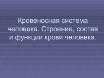 Кровеносная система человека. Строение, состав и функции крови человека